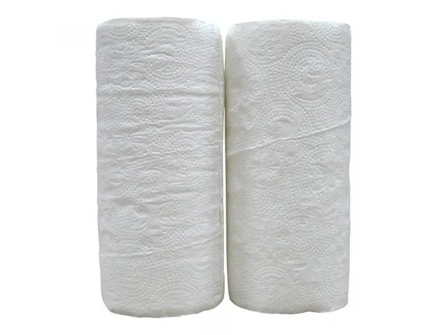 Keukenrol 2-laags Wit Cellulose 45 Vel Doos 32 Rol