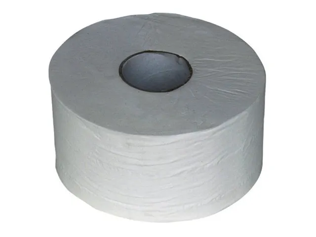 Toiletpapier Budget Mini Jumbo 2-laags 170m 12rollen