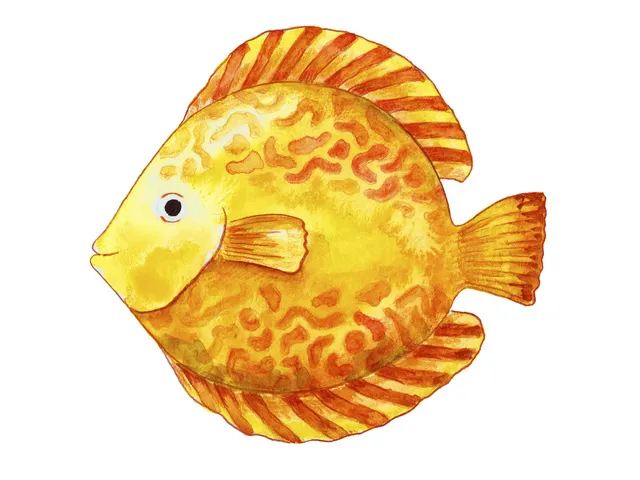 Aquarelpotlood Etui A 12 Stuks + Penseel