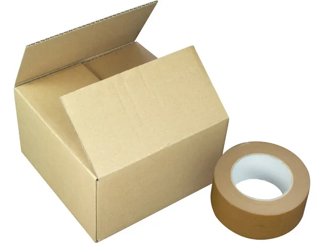 Verzenddoos Raadhuis 200x200x110mm 10 stuks