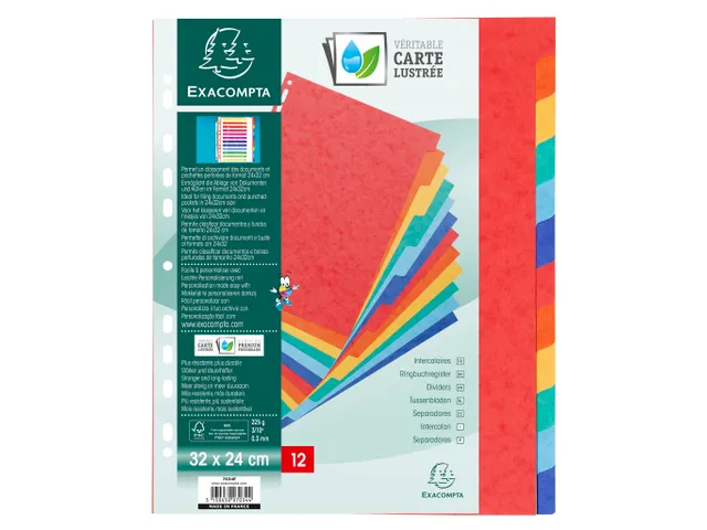 Tabbladen glanskarton 225g 12-delig formaat 24x32cm Assorti