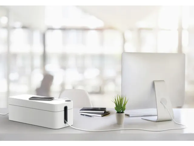 Durable Kabelbox Cavoline Box L Grijs