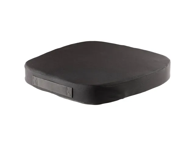 Stoelkussen Fellowes Breyta Comfort zwart