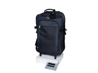 Pakketweger MAULparcel S solar 50kg - 11
