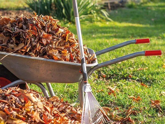 Kruiwagen 85 Liter gegalvaniseerd staal Grijs pneumatisch wiel