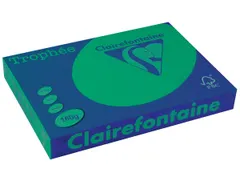 Trophée Intens, papier couleur, A3, 160 g, 250 feuilles, vert sapin