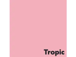 Offset papier Image Coloraction tropic/roze 80g 450x640mm FSC