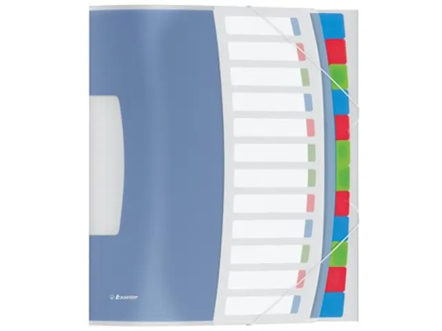 Esselte Sorteermap Vivida A4 12 vaks Assorti PP