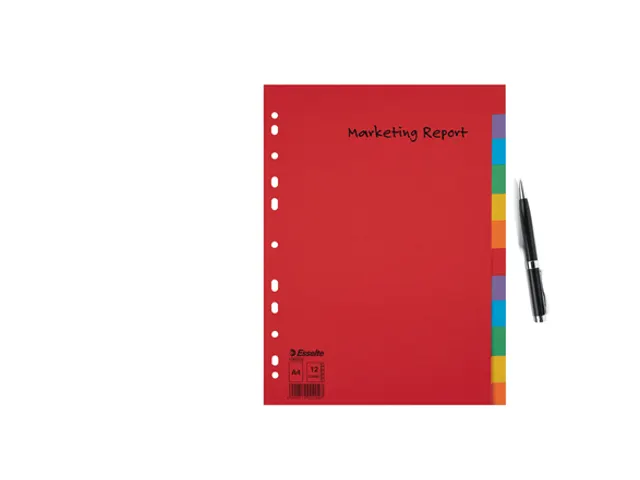 Tabblad Esselte A4 11-Gaats Karton 12-Delig Zonder Voorblad