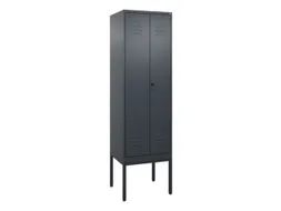 locker voor scheiding van kleding,HxBxD 2120x600x500mm,2vak