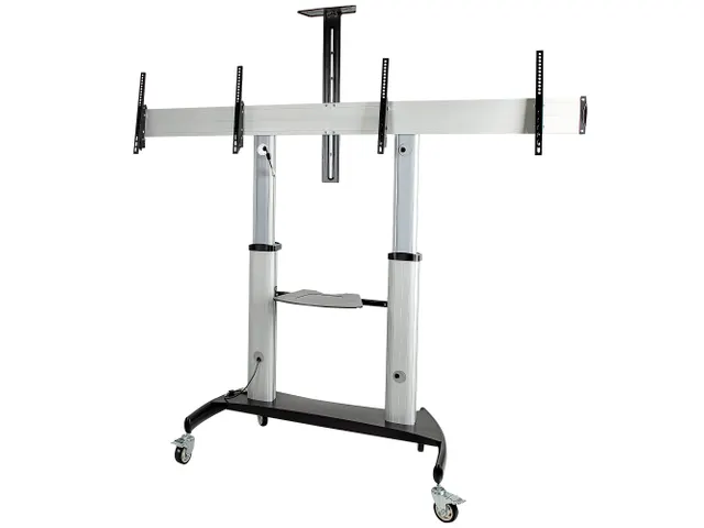 Dual TV Standaard op Wielen voor 37-60 Inch VESA TV's