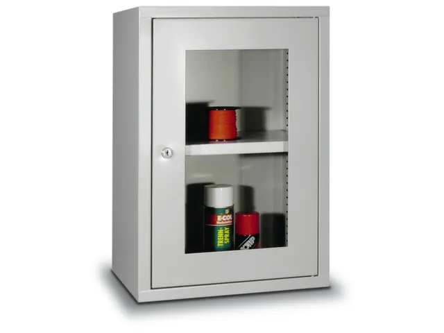 Hangkast 600x400x300mm Achterwand Glad Ral 7035 Front Ral 7035