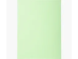 Vouwmap Exacompta Forever A4 170gr grasgroen