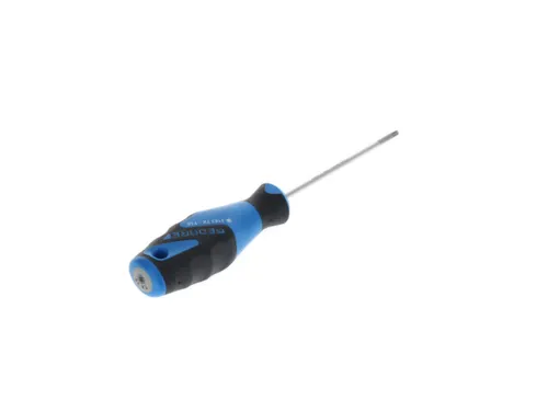 2163 Schroevendraaier TX T10 3C