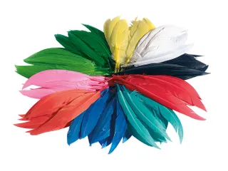 Indianen veren Folia assorti - 2
