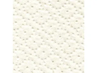 Handdoekrol Satino 317940 Comfort 2-laags 150m 6rollen - 2