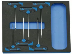 2005 CT2-2142 TX schroevendraaierset in controlegereedschapmodule
