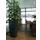 plantenpot,trapeziumvormig,PE,antracietgrijs,HxBxD 900x470x470mm,38l