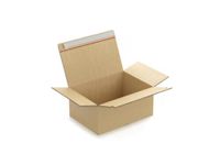 vouwdoos bruin twee golven LxBxH binnen 310x230x150mm