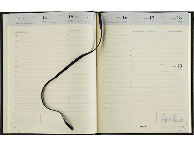 Agenda Timing Cube assorti 2026