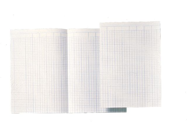 Accountantspapier Folio A3607-95 14 Kolom 100vel | Bedrijfsformulier.nl