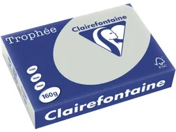Trophée Pastel gekleurd papier A4 160 gram 250vel Lichtgrijs