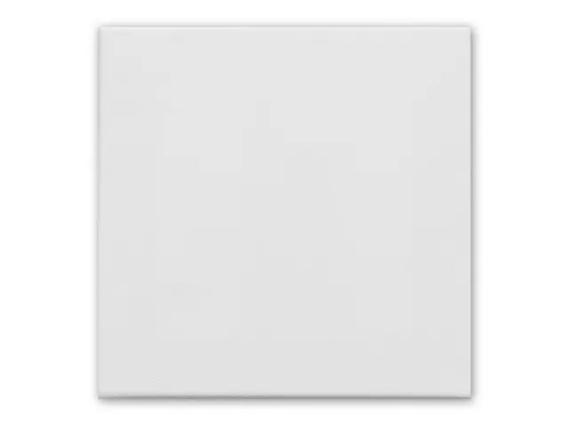 Canvaspaneel Kangaro 20x20 cm set 5 stuks 3mm board 280gr katoen 3x pr