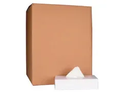 Papieren zakdoek 2-laags wit 100 tissues per doos, pak à 40 stuks