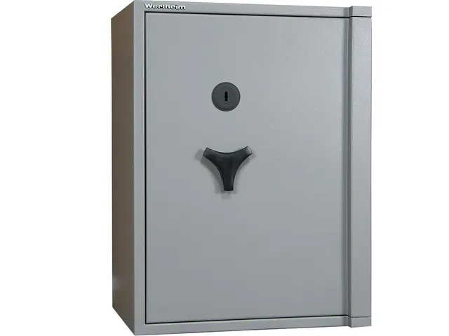 Wertheim BG 20 Inbraakwerende kluis 735x450x442mm