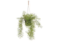Kunstplant Mica Rhipsalis hangend in pot groen 40x20cm