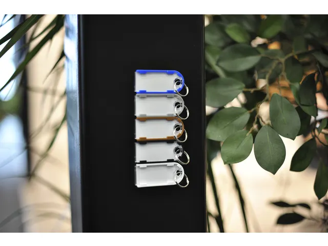 Sleutellabel Pavo magnetisch 10 stuks assorti