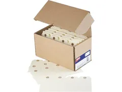 Agipa Draadetiketten 38x80mm Ivoor