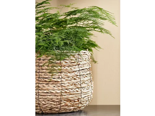 Plantenmand Mica Avalon zeegras rond lichtbruin 26x26cm