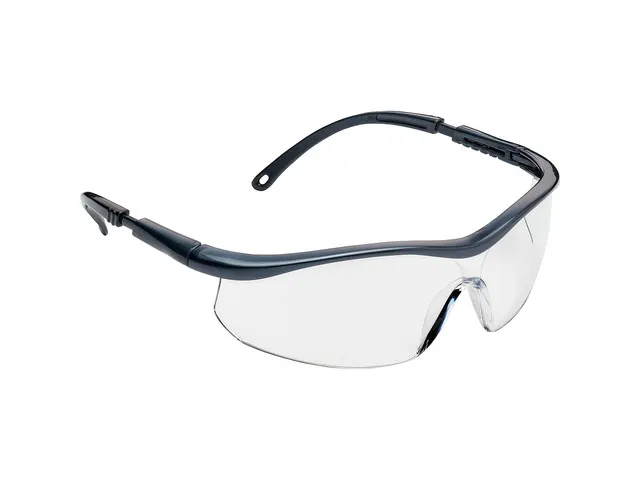 Veiligheidsbril Arco Essential helder doos 12 stuks