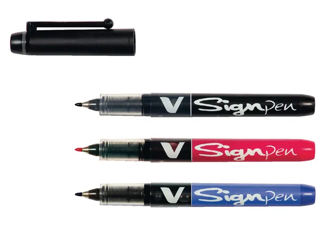 Feutre Pilot V-Sign pointe moyenne 2mm Noir