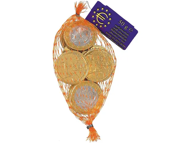 chocolade euromunt Sinterklaas netje 50 g