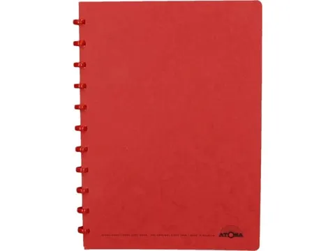 schrift, ft A4, 144 bladzijden, geruit 5 mm, rood