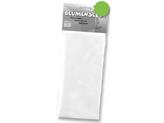 Zijdepapier Lichtgroen - 1