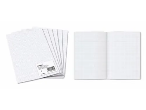 Geruit Ministerpapier A4 5x5mm 80 Gram 960 Bladzijden
