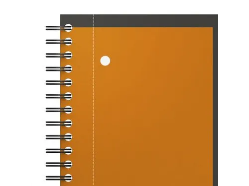Spiraalblok Oxford International Activebook A4+ ruit 5mm
