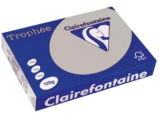 Trophée Pastel gekleurd papier A4 120 gram 250vel Lichtgrijs - 1