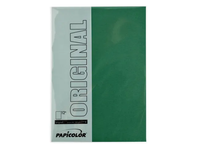 Kopieerpapier Papicolor A4 100gr 12 vel dennengroen