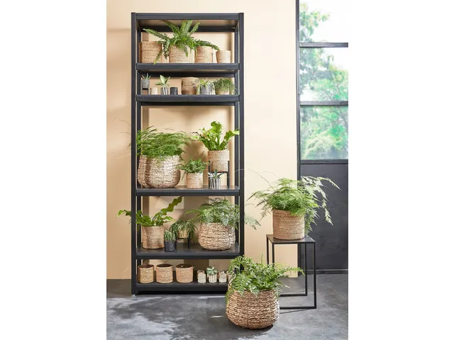 Panier plante Mica Jonc de mer Avalon rond marron clair 26x26cm