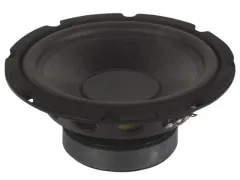 OUTLET Zwarte Subwoofer Voor Luidspreker 10 Inch 350w