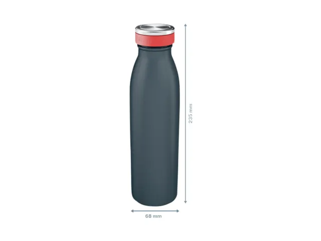 Drinkfles Leitz Cosy geïsoleerd grijs 500ml