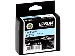 Epson Origineel Inktcartridge C13T46S500 Licht cyaan