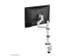 Support 1 écran Neomounts DS60-425WH1 Blanc