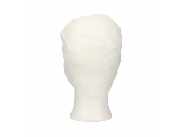 PPnw pet / klep XL haaropvang wit 'snood cap' 1000 Stuks