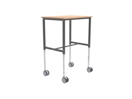 Multifunctionele Tafelwagen,Draagverm. 200Kg,1Etage(S)