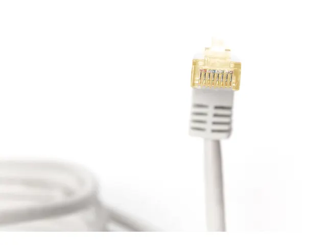 DIGITUS CAT6A S/FTP patchkabel, 90° haakse stekker 0.5m Grijs